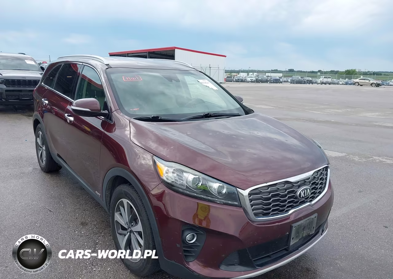 2019 Kia Sorento 3.3L Ex VIN:5XYPHDA54KG535841 - 6