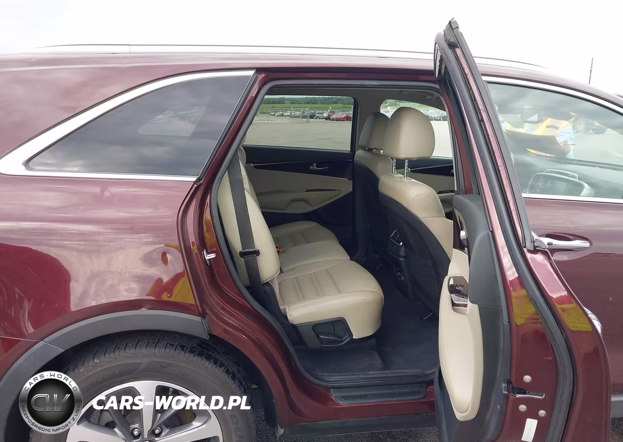 2019 Kia Sorento 3.3L Ex VIN:5XYPHDA54KG535841 - 8