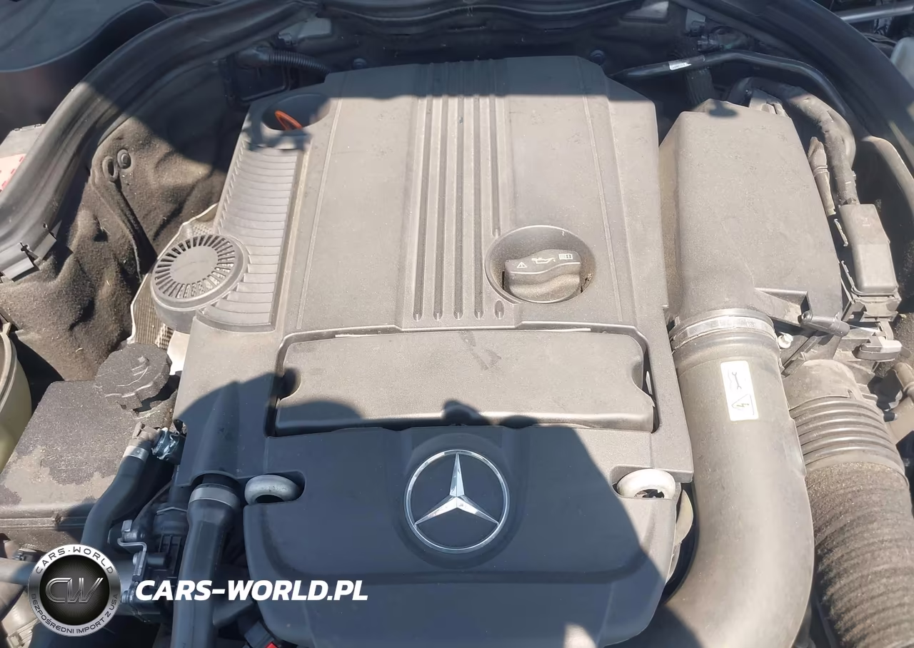 2013 Mercedes-Benz C 250 VIN:WDDGJ4HB2DG099447 - 10