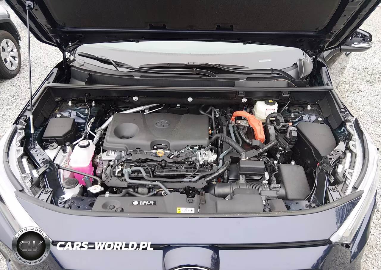 2025 Toyota Rav4 Hybrid Xle VIN:4T3RWRFV7SU213569 - 10