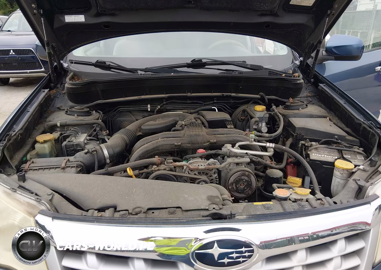 2013 Subaru Forester 2.5X Premium VIN:JF2SHADC2DH410982 - 10