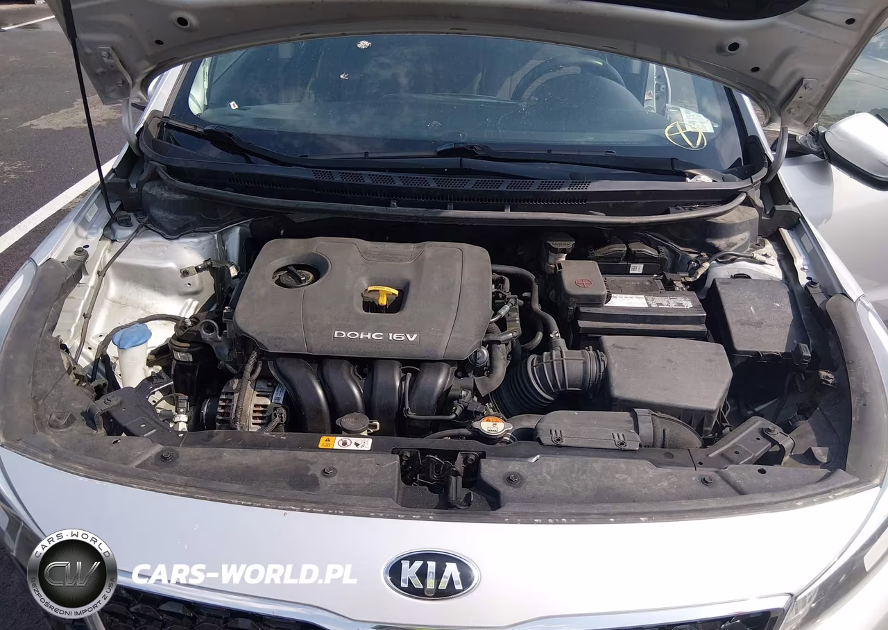 2018 Kia Forte Lx VIN:3KPFL4A71JE269069 - 10