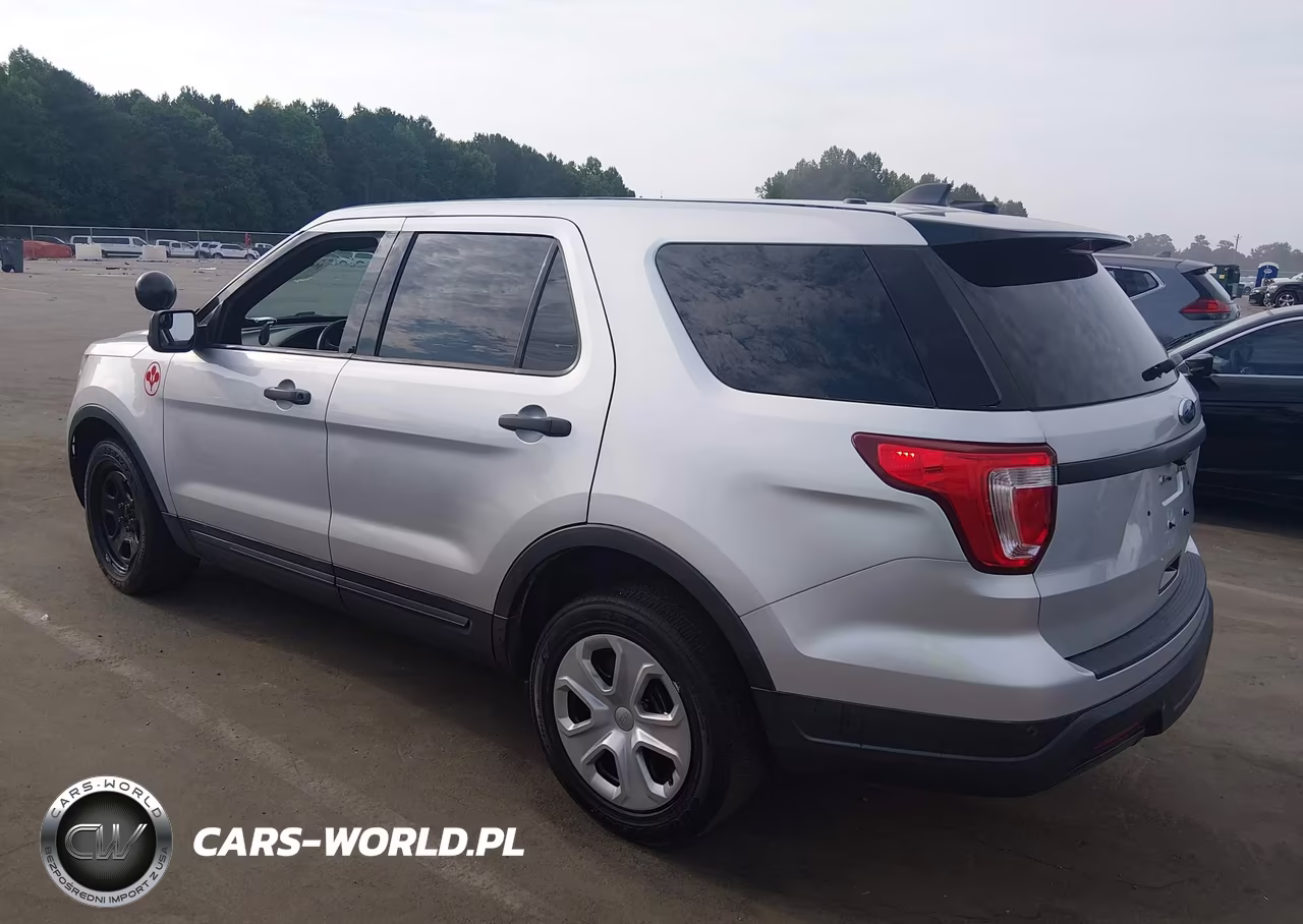 2018 Ford Police Interceptor Utility VIN:1FM5K8AR0JGC19315 - 3