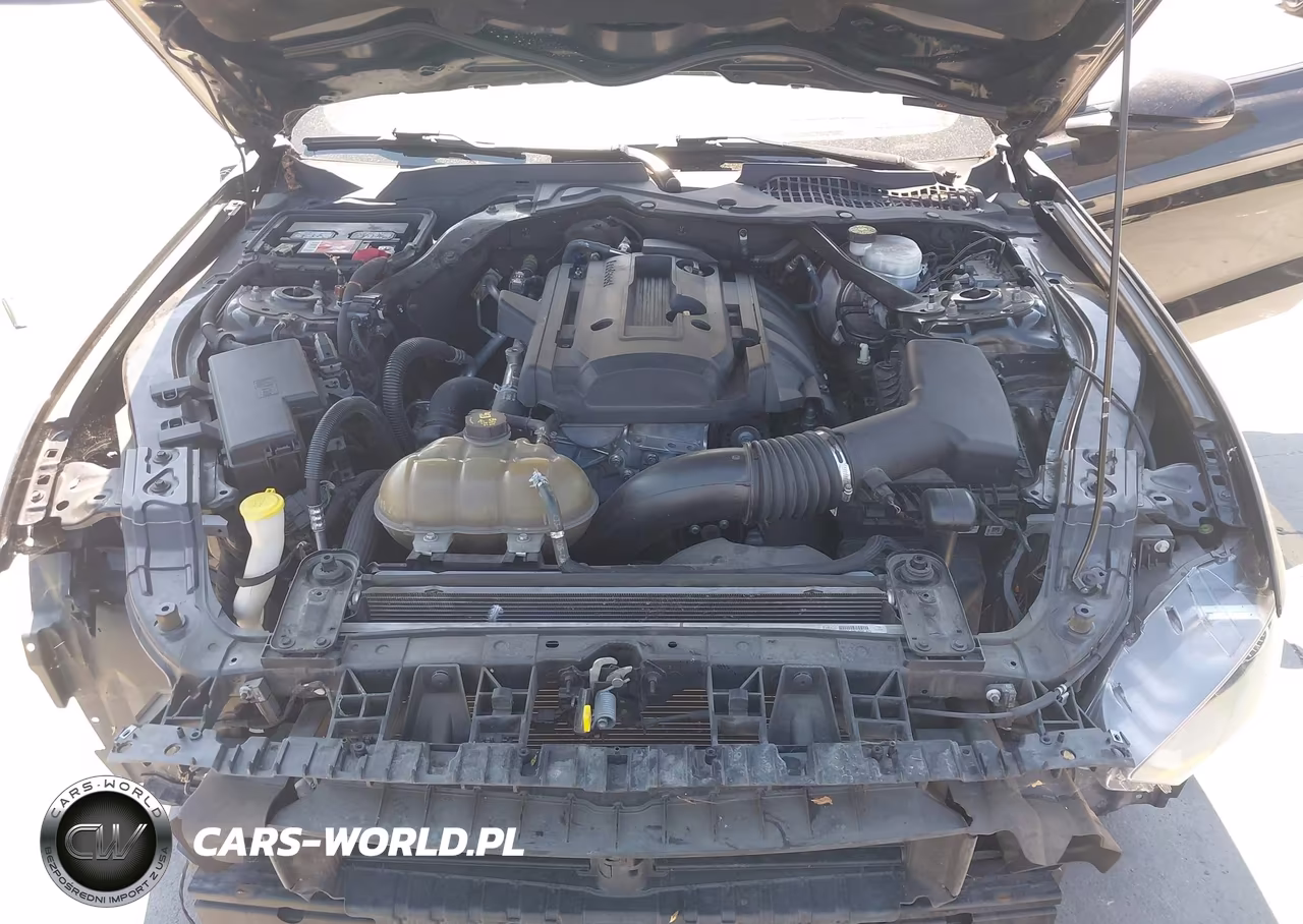 2019 Ford Mustang Ecoboost Premium VIN:1FATP8UH7K5170259 - 10