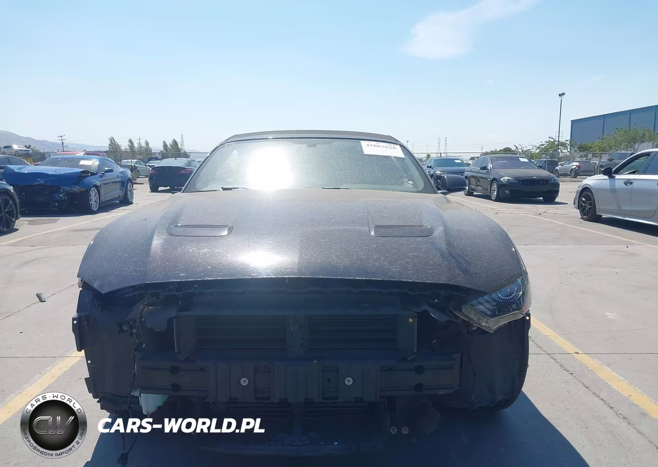 2019 Ford Mustang Ecoboost Premium VIN:1FATP8UH7K5170259 - 12