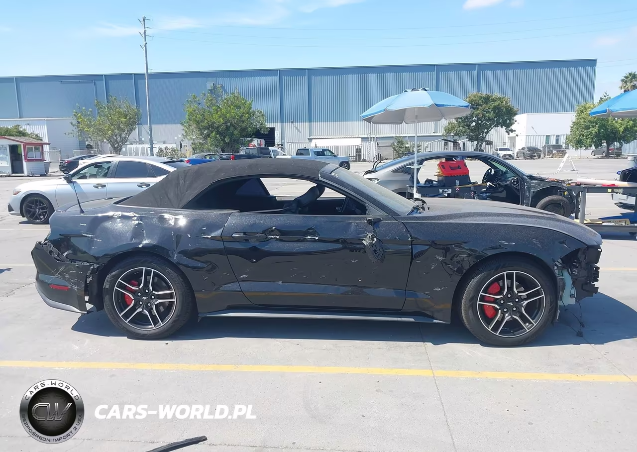 2019 Ford Mustang Ecoboost Premium VIN:1FATP8UH7K5170259 - 13