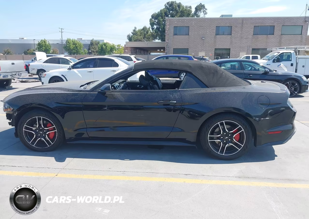 2019 Ford Mustang Ecoboost Premium VIN:1FATP8UH7K5170259 - 14
