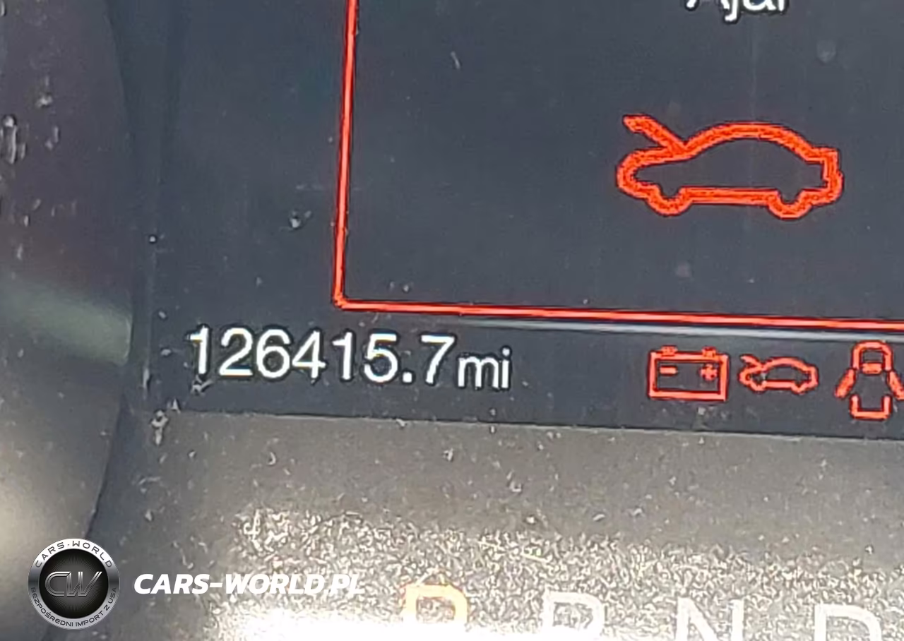 2019 Ford Mustang Ecoboost Premium VIN:1FATP8UH7K5170259 - 15