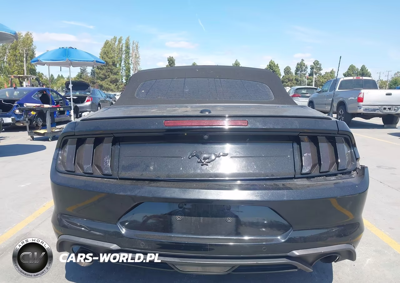 2019 Ford Mustang Ecoboost Premium VIN:1FATP8UH7K5170259 - 16