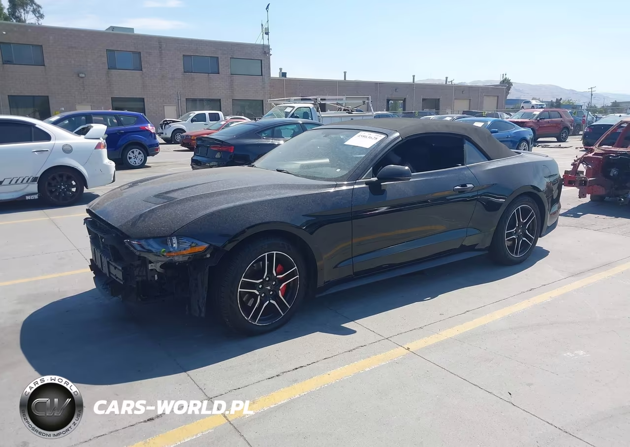 2019 Ford Mustang Ecoboost Premium VIN:1FATP8UH7K5170259 - 2