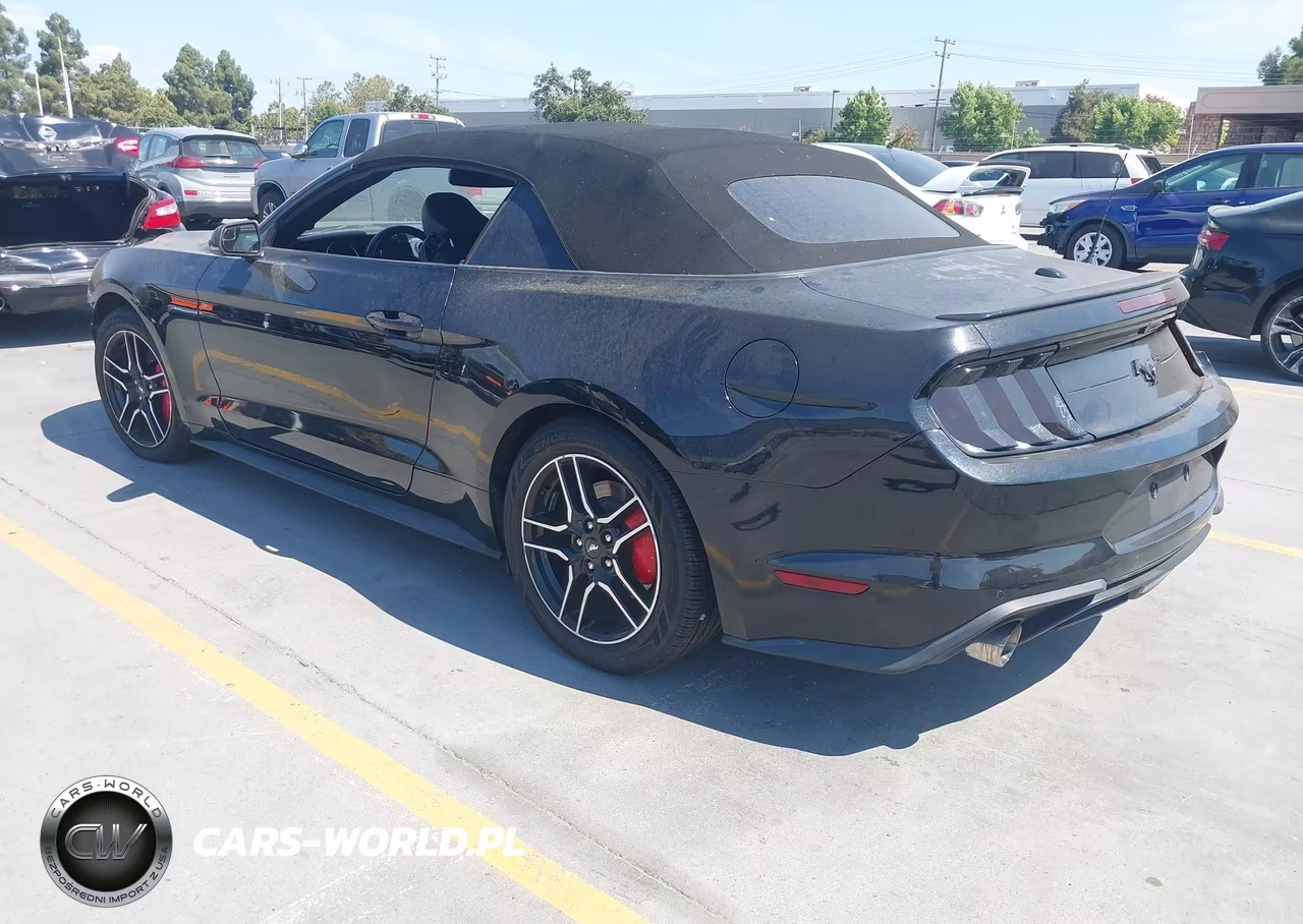 2019 Ford Mustang Ecoboost Premium VIN:1FATP8UH7K5170259 - 3