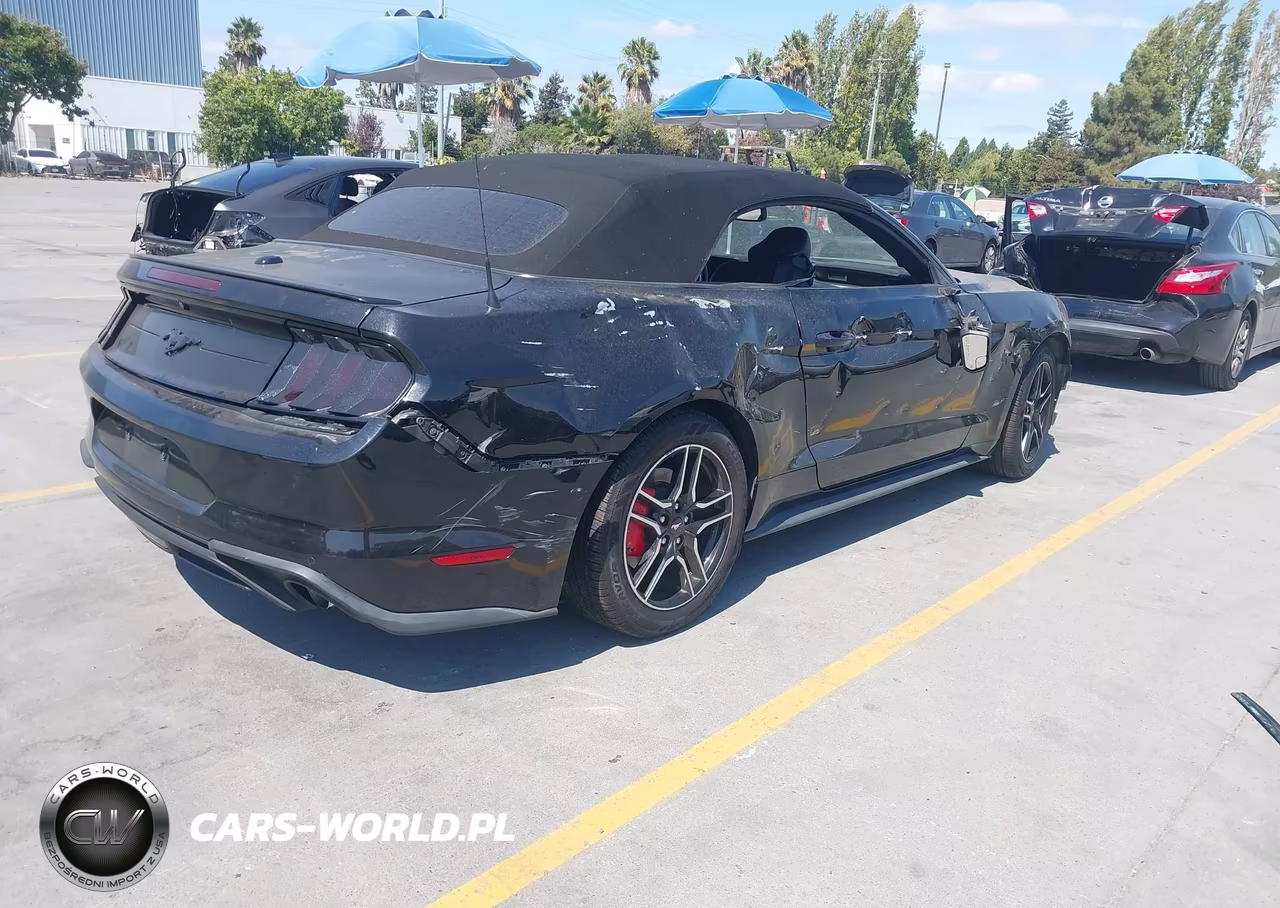 2019 Ford Mustang Ecoboost Premium VIN:1FATP8UH7K5170259 - 4