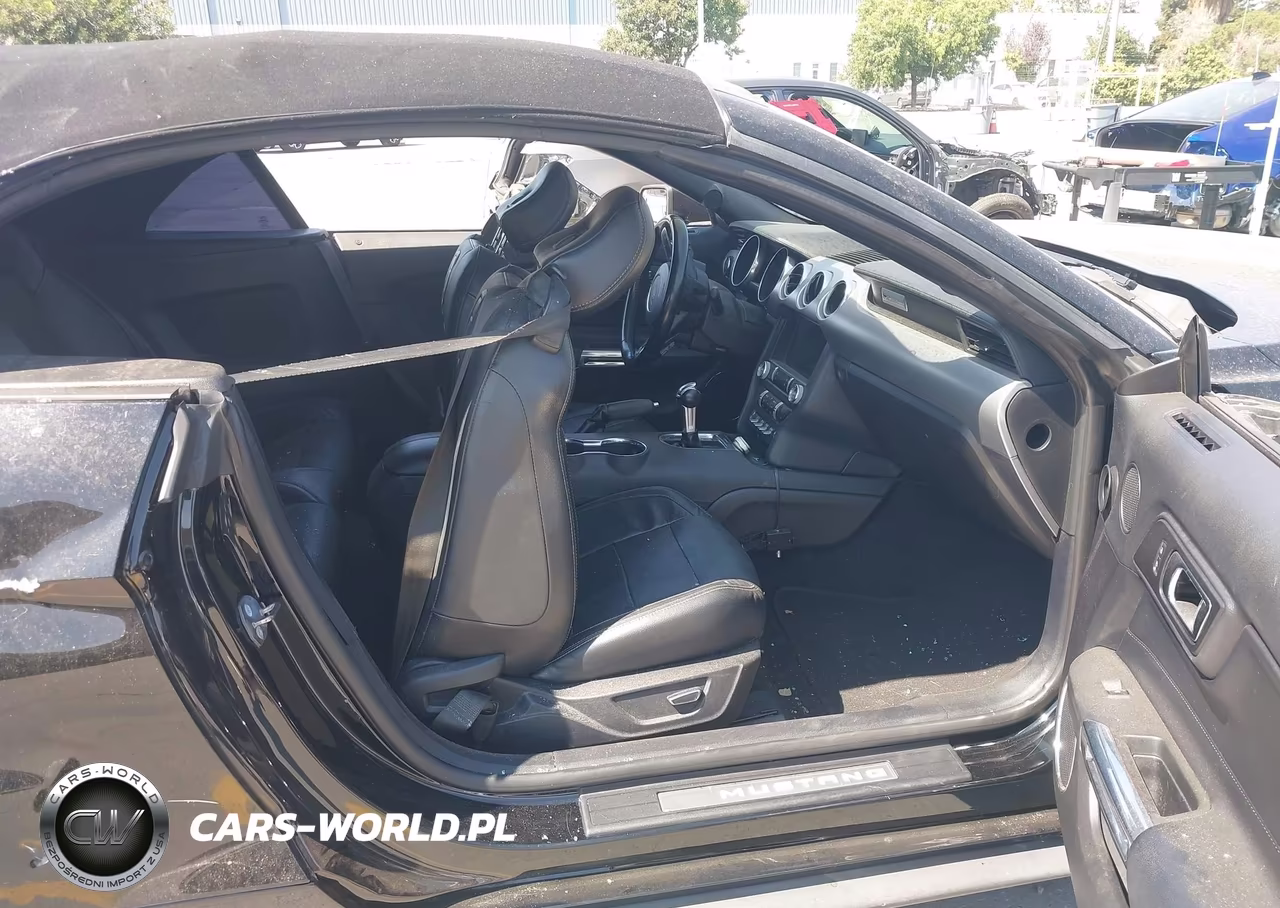 2019 Ford Mustang Ecoboost Premium VIN:1FATP8UH7K5170259 - 5