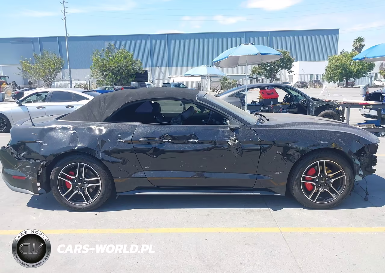 2019 Ford Mustang Ecoboost Premium VIN:1FATP8UH7K5170259 - 6