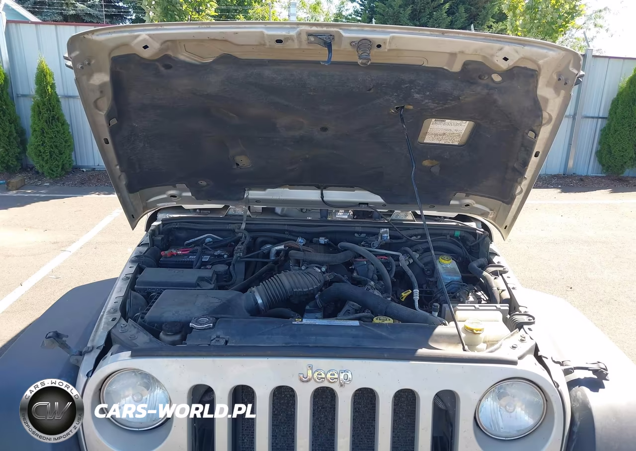 2007 Jeep Wrangler Rubicon VIN:1J4GA64147L127158 - 10