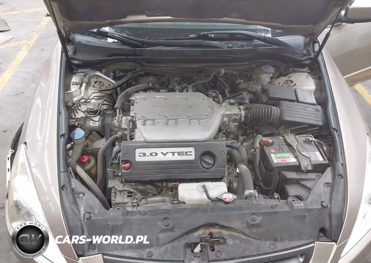 2003 Honda Accord 3.0 Ex VIN:1HGCM66513A079198 - 10