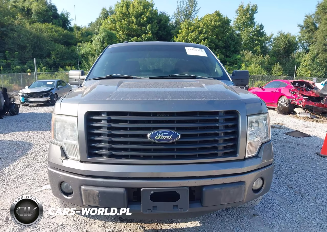 2014 Ford F-150 Stx VIN:1FTFX1CF3EKE29124 - 12