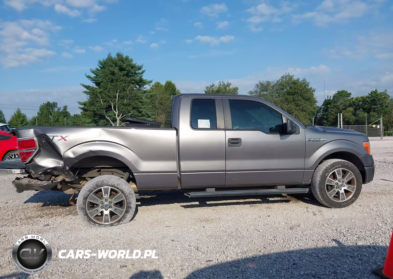 2014 Ford F-150 Stx VIN:1FTFX1CF3EKE29124 - 13