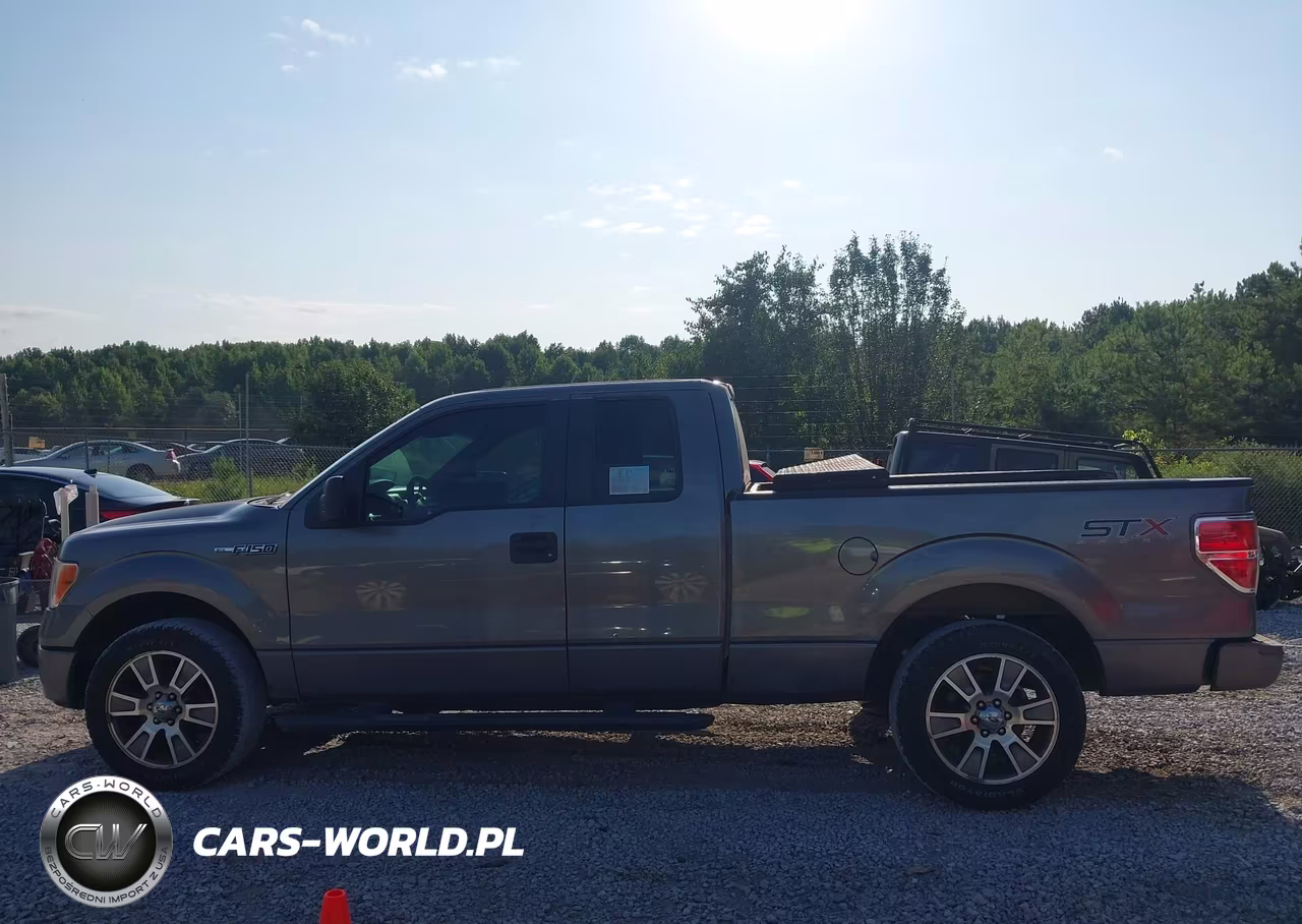 2014 Ford F-150 Stx VIN:1FTFX1CF3EKE29124 - 14