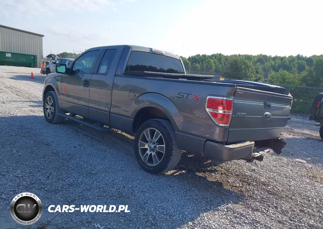 2014 Ford F-150 Stx VIN:1FTFX1CF3EKE29124 - 3
