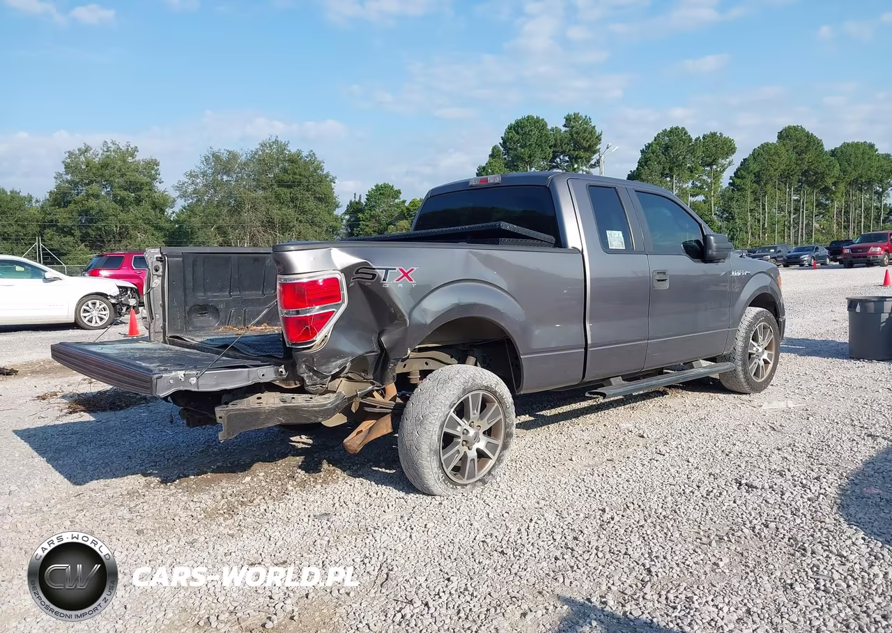 2014 Ford F-150 Stx VIN:1FTFX1CF3EKE29124 - 4