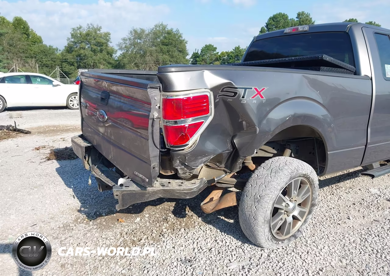2014 Ford F-150 Stx VIN:1FTFX1CF3EKE29124 - 6