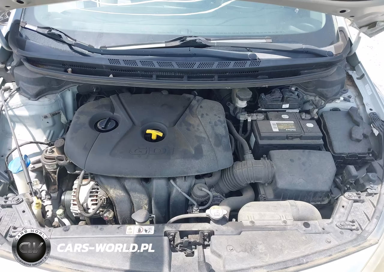 2014 Kia Forte Ex VIN:KNAFX4A87E5114313 - 10