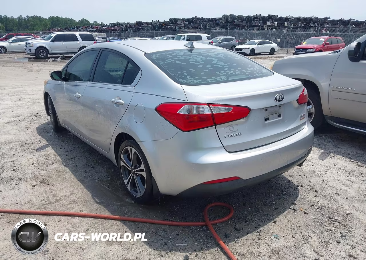 2014 Kia Forte Ex VIN:KNAFX4A87E5114313 - 3