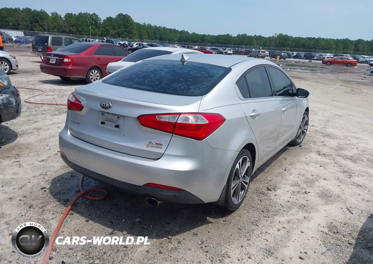 2014 Kia Forte Ex VIN:KNAFX4A87E5114313 - 4