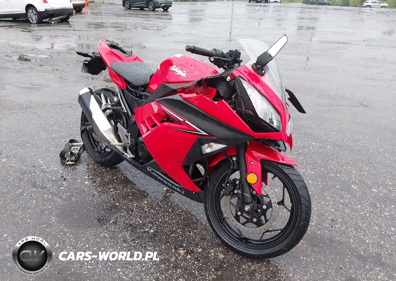2016 Kawasaki Ex300 A – zdjęcie 1 z 13
