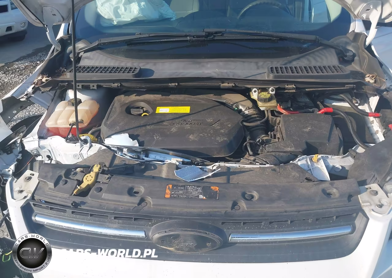 2015 Ford Escape Se VIN:1FMCU0GX7FUC66360 - 10