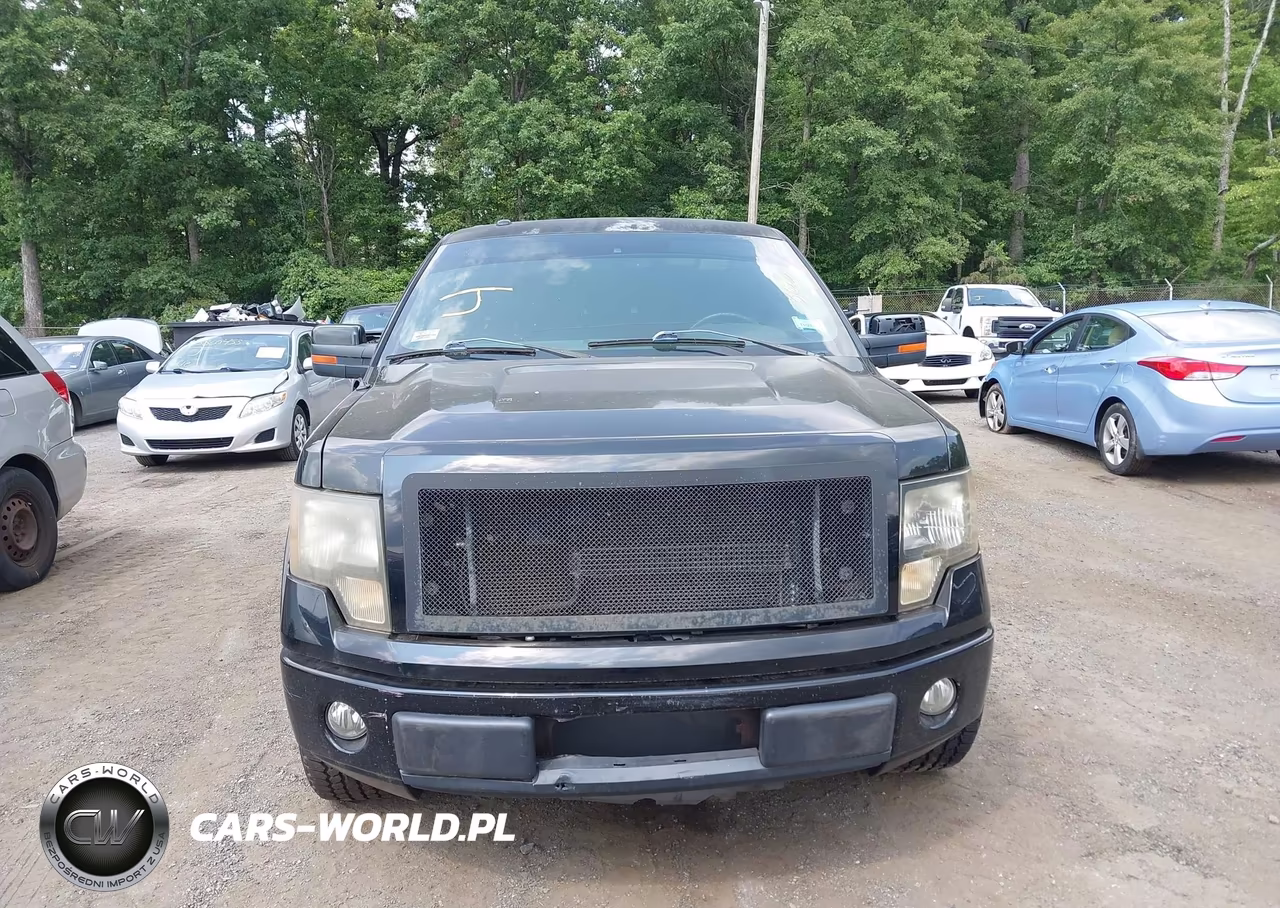 2011 Ford F-150 Fx2 VIN:1FTFW1CF7BKE22806 - 12