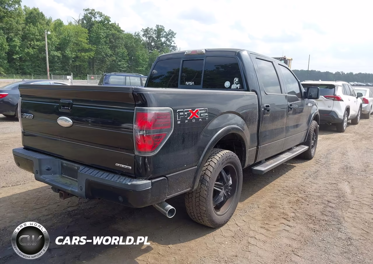2011 Ford F-150 Fx2 VIN:1FTFW1CF7BKE22806 - 4