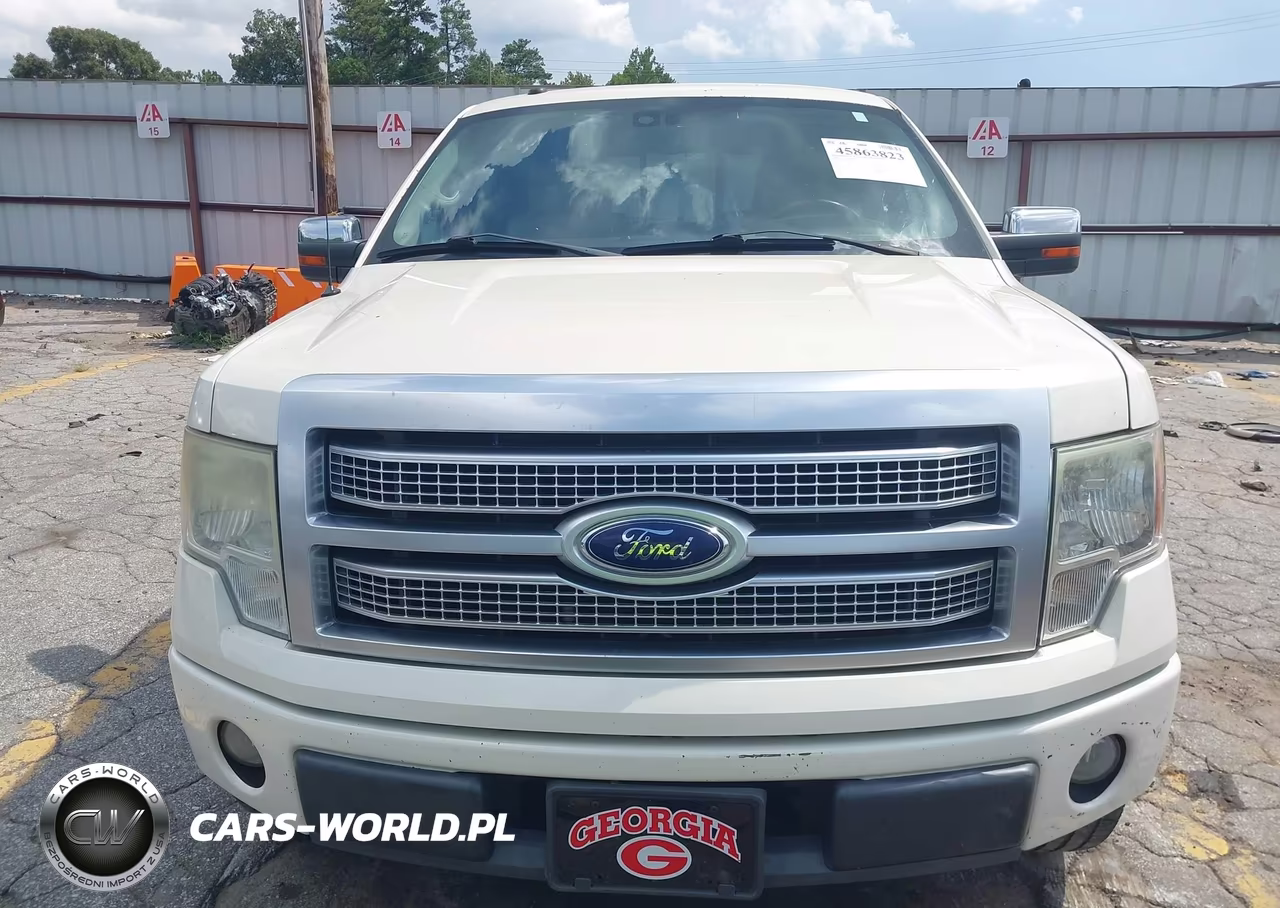 2009 Ford F-150 Platinum VIN:1FTPW12V59FA78215 - 12