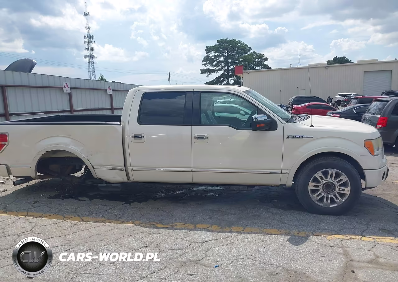 2009 Ford F-150 Platinum VIN:1FTPW12V59FA78215 - 13