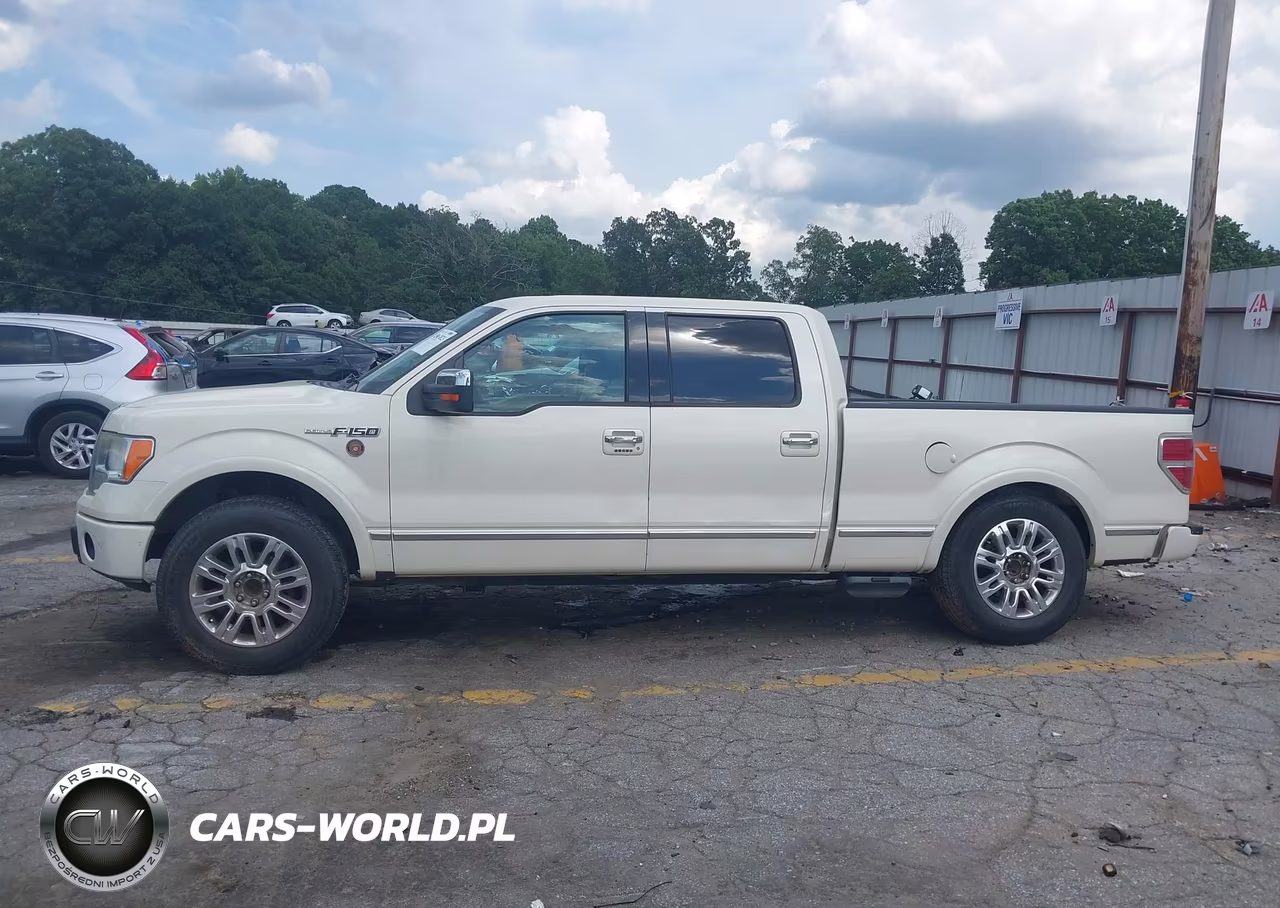 2009 Ford F-150 Platinum VIN:1FTPW12V59FA78215 - 14