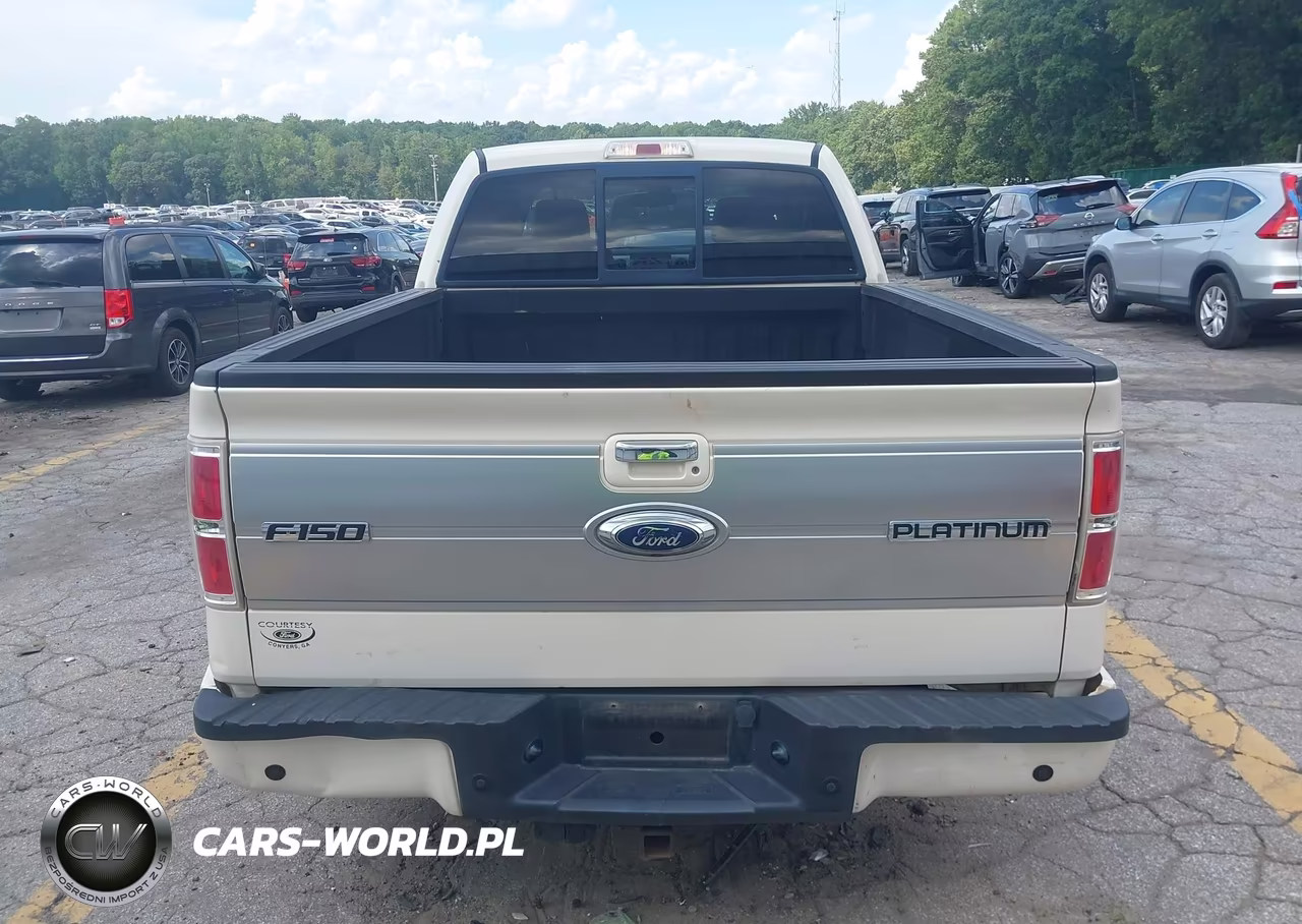 2009 Ford F-150 Platinum VIN:1FTPW12V59FA78215 - 16