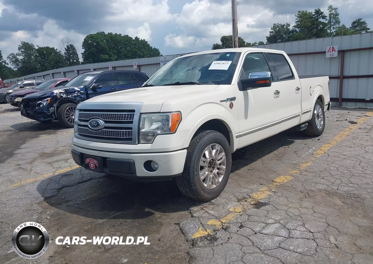 2009 Ford F-150 Platinum VIN:1FTPW12V59FA78215 - 2