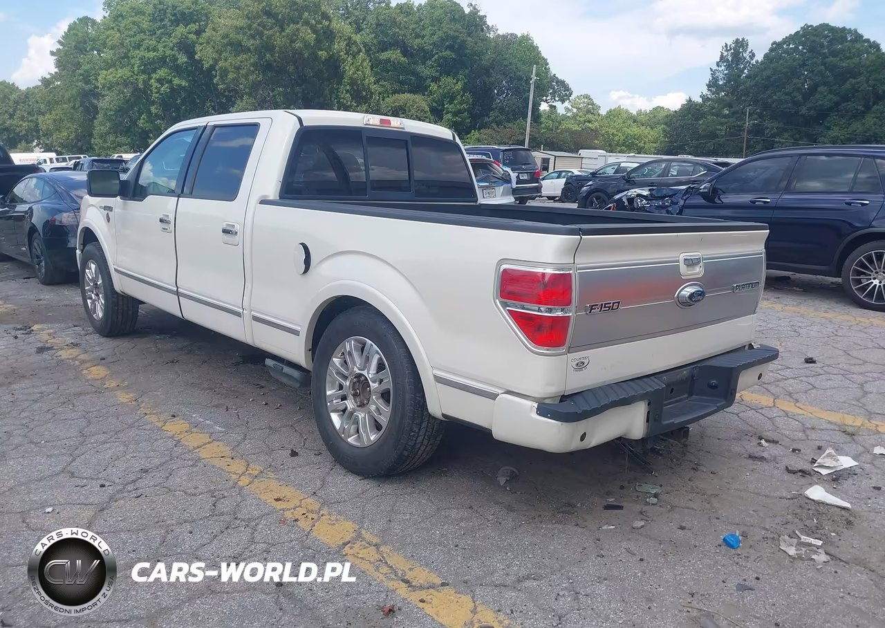 2009 Ford F-150 Platinum VIN:1FTPW12V59FA78215 - 3