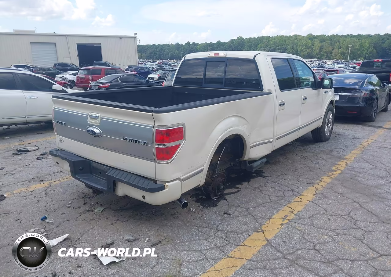 2009 Ford F-150 Platinum VIN:1FTPW12V59FA78215 - 4