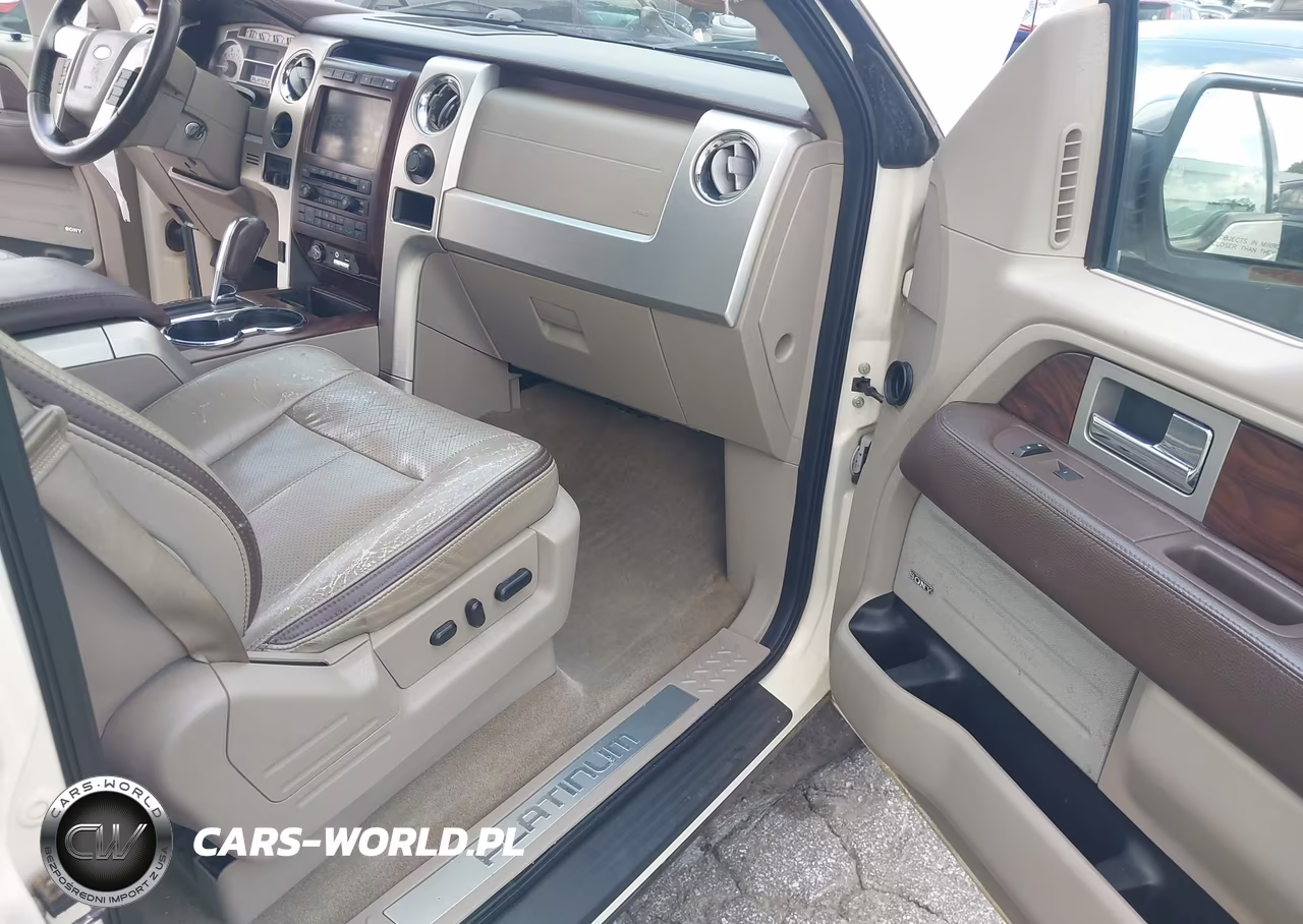 2009 Ford F-150 Platinum VIN:1FTPW12V59FA78215 - 5