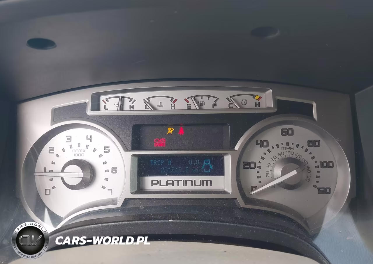 2009 Ford F-150 Platinum VIN:1FTPW12V59FA78215 - 7