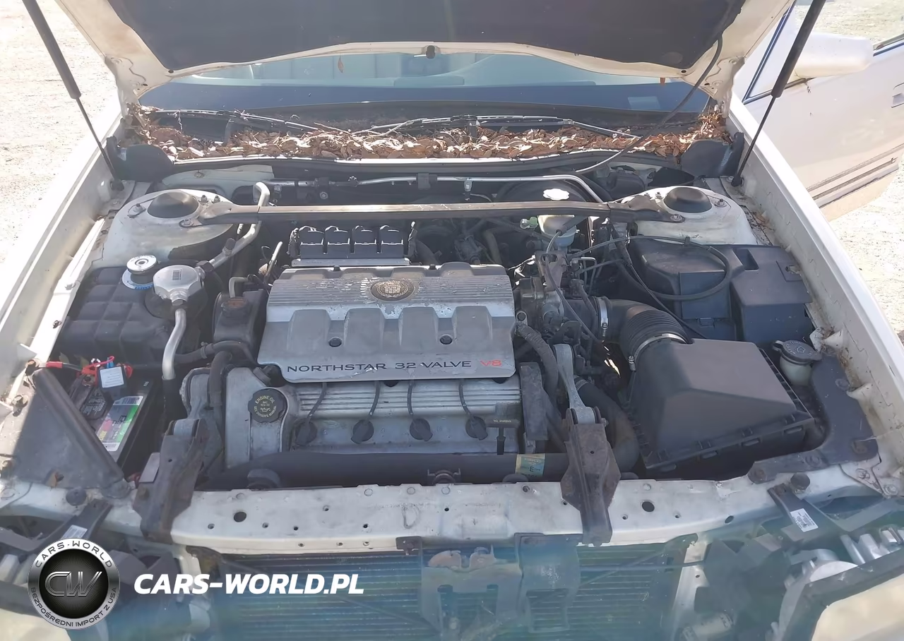 1998 Cadillac D'elegance VIN:1G6KE54Y7WU767422 - 10