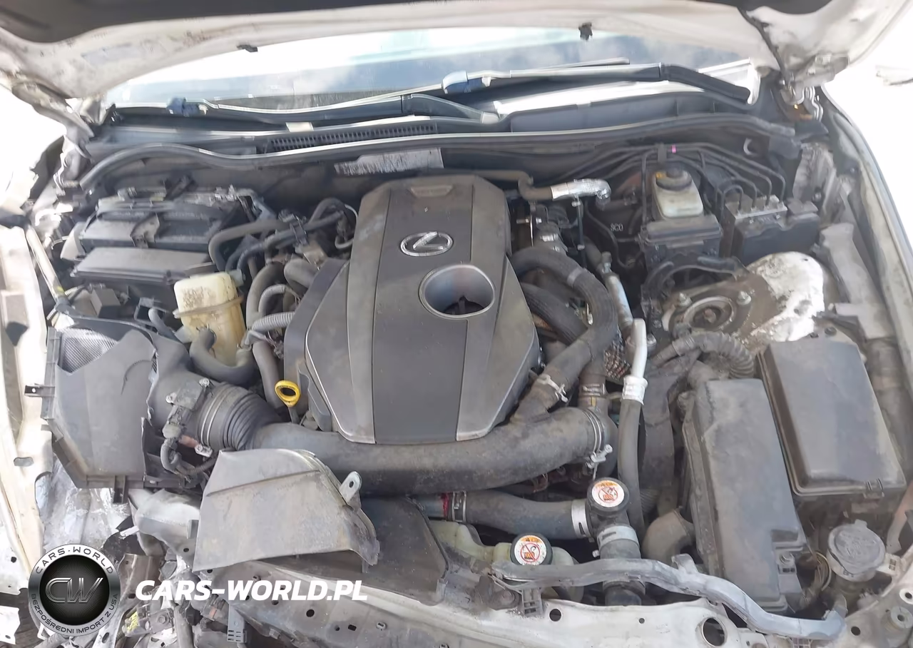 2019 Lexus Is 300 VIN:JTHBA1D29K5085481 - 10