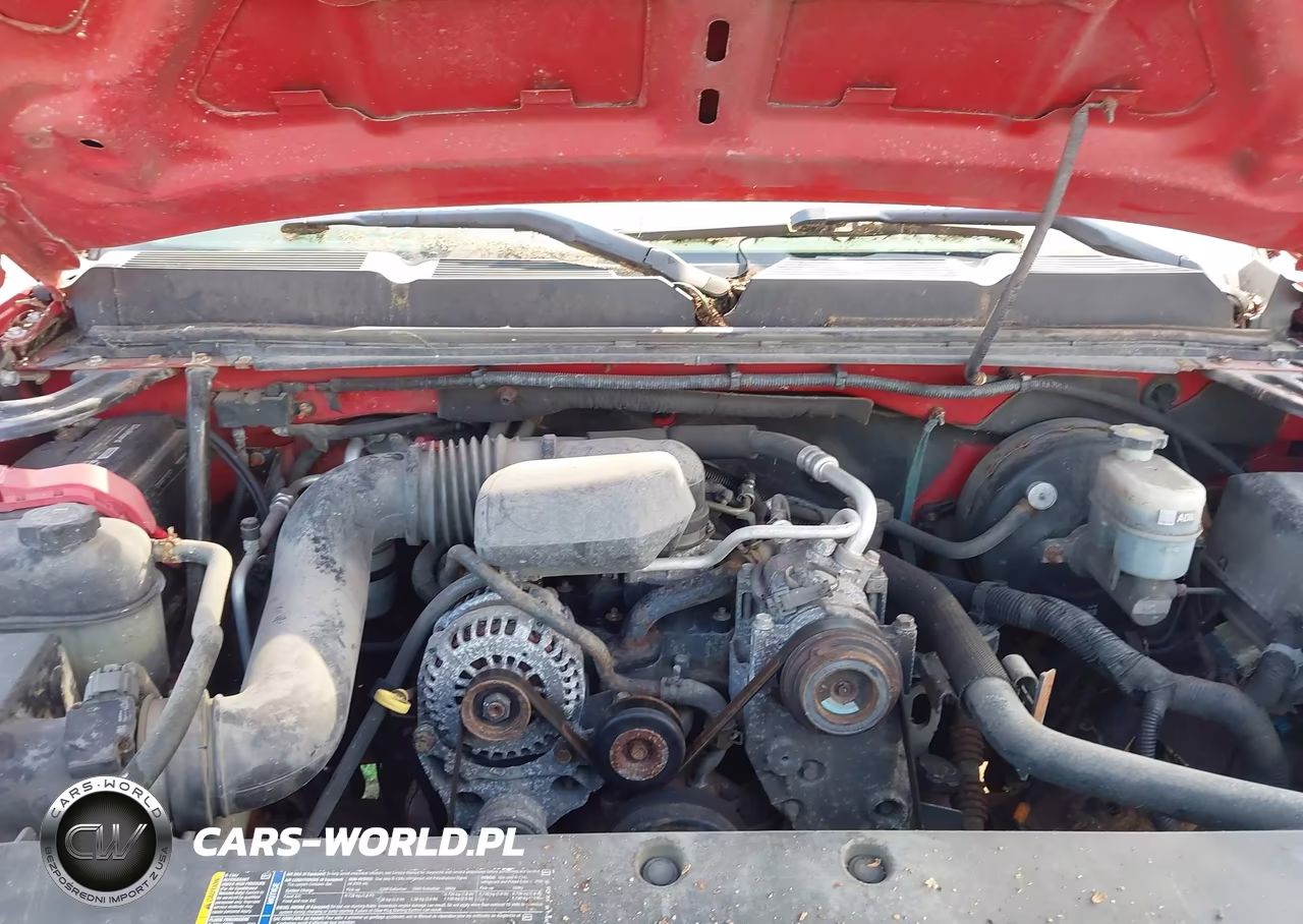 2009 Chevrolet Silverado 1500 Work Truck VIN:1GCEC14X39Z147285 - 10