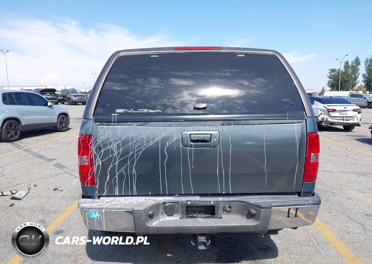 2010 Chevrolet Silverado 1500 Lt VIN:1GCSCSE01AZ106670 - 19