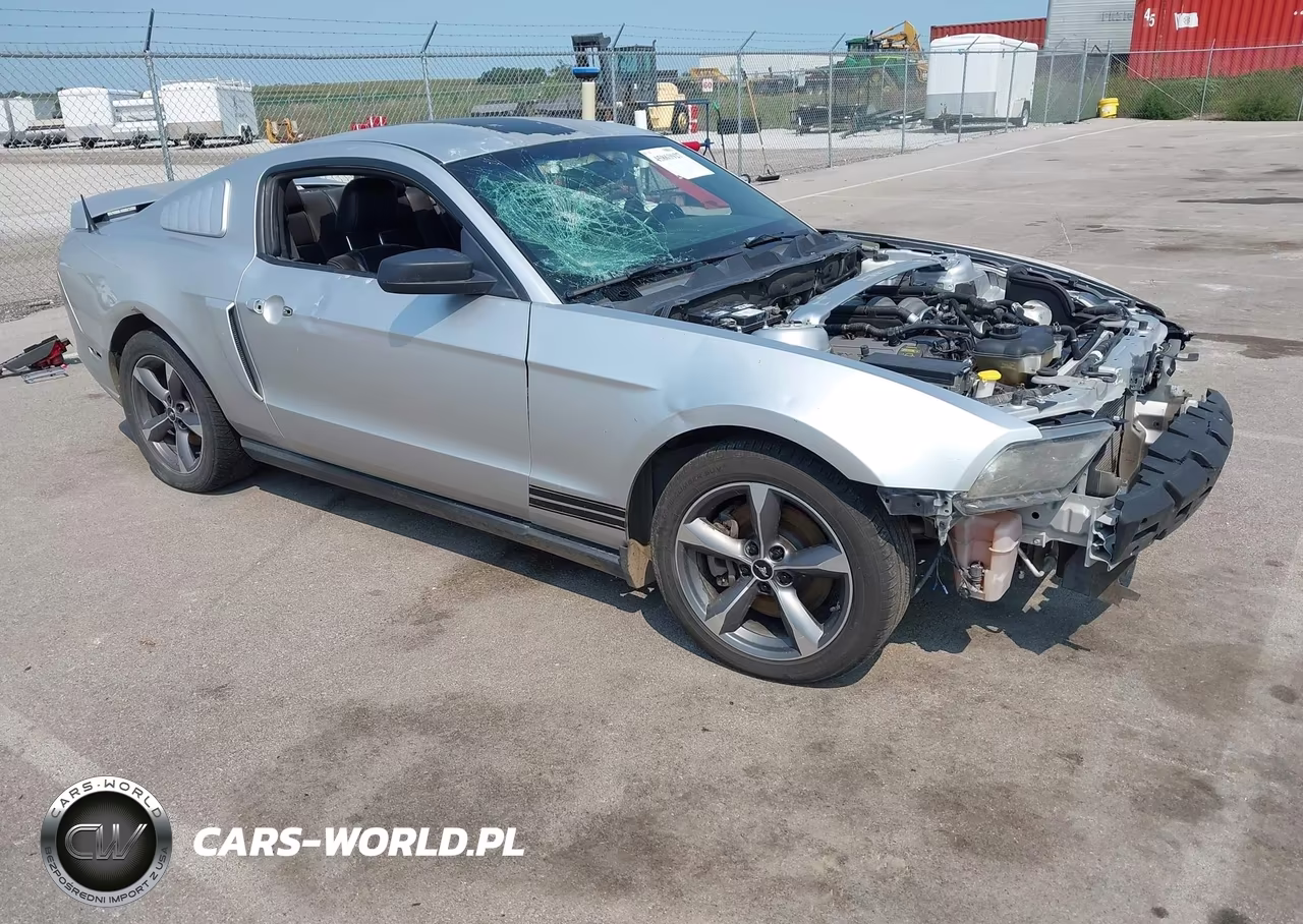 2011 Ford Mustang Gt Premium VIN:1ZVBP8CF1B5164329 - 1