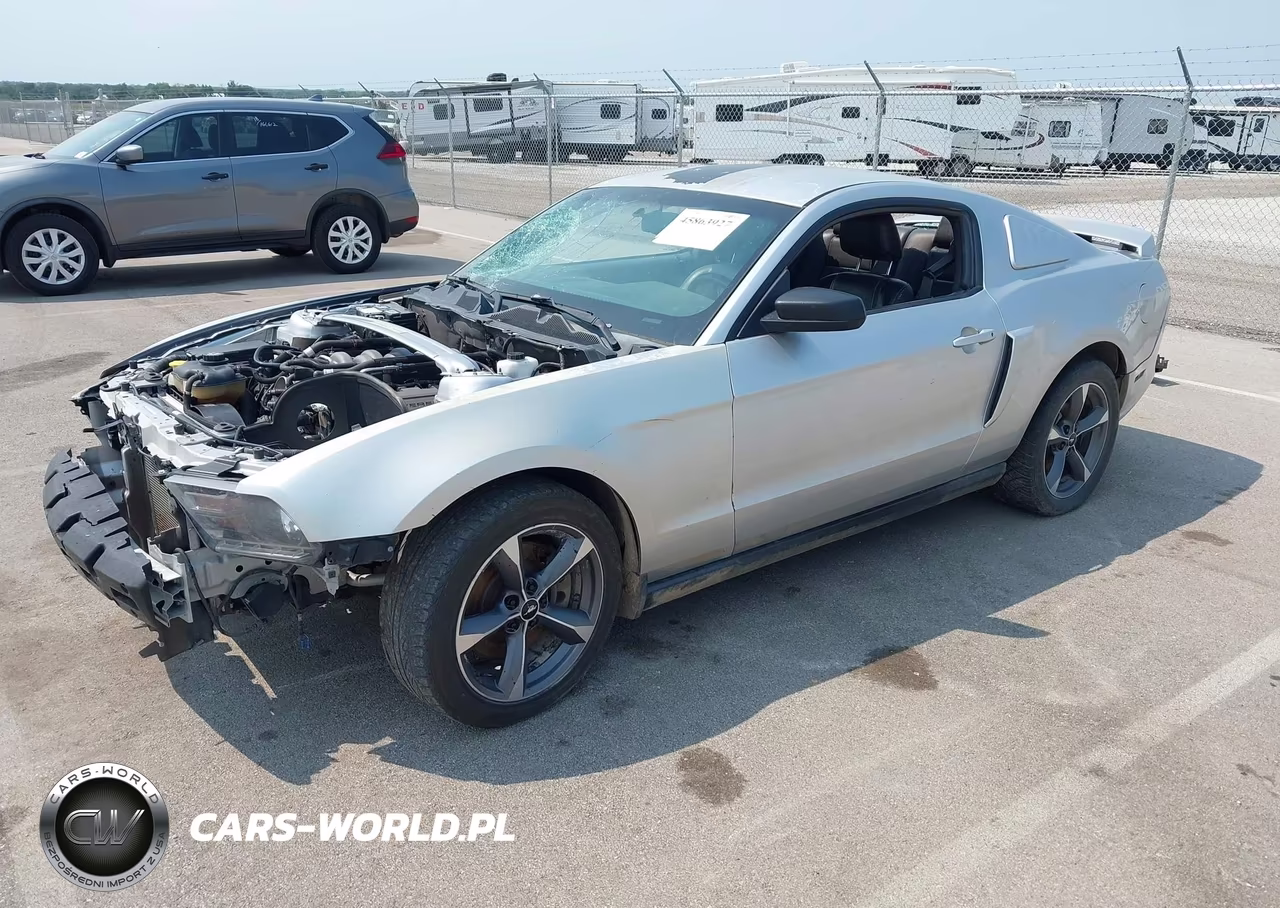 2011 Ford Mustang Gt Premium VIN:1ZVBP8CF1B5164329 - 2