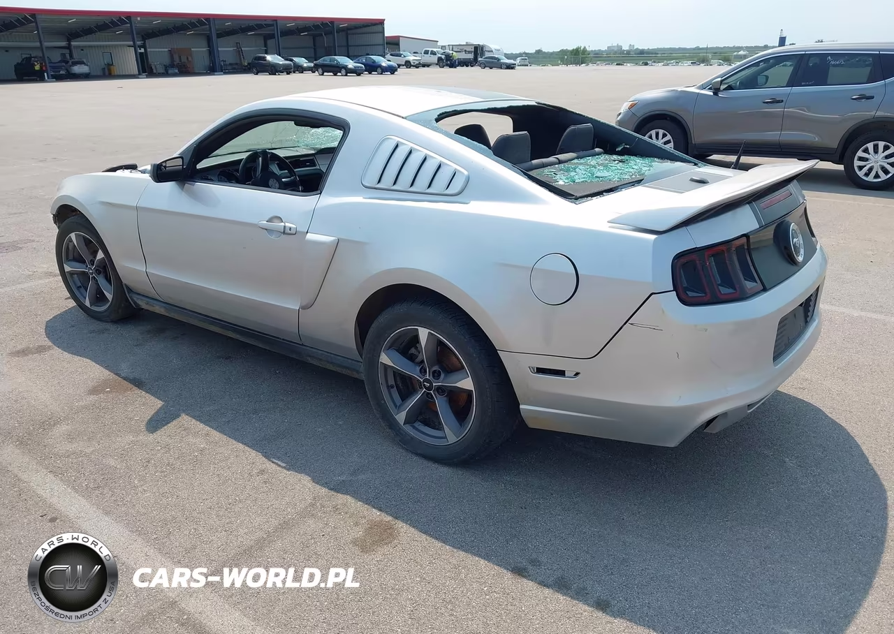 2011 Ford Mustang Gt Premium VIN:1ZVBP8CF1B5164329 - 3