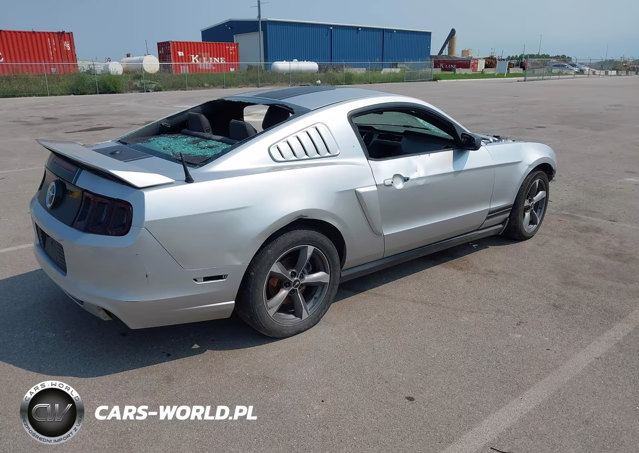 2011 Ford Mustang Gt Premium VIN:1ZVBP8CF1B5164329 - 4